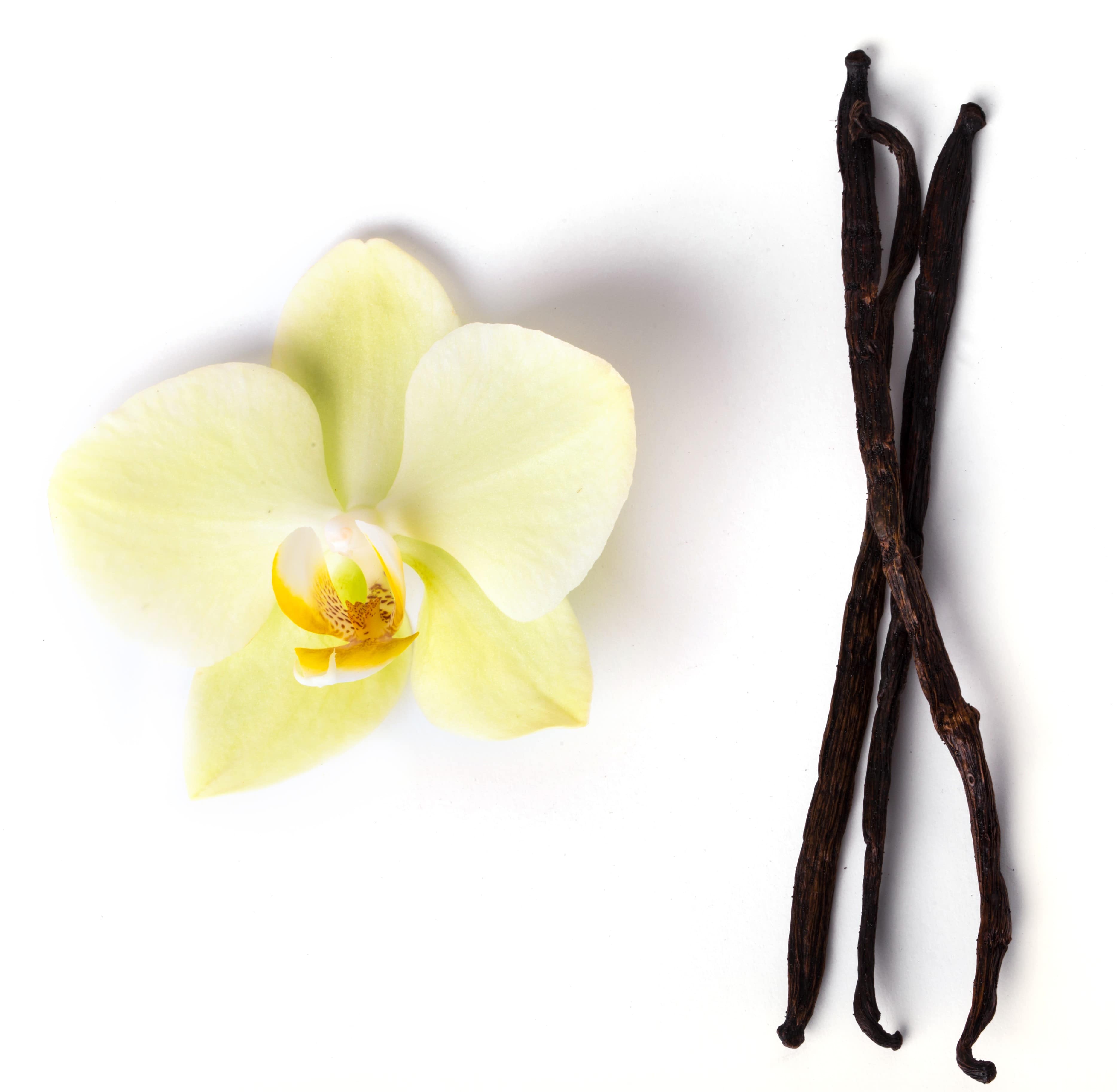 gousses de vanille de Madagascar - épices aromates nous sommes basés en allemagne spécialisée dans le négoce et d’importation des gousses de vanilles de madagascar autres de la zone afrique. nous recherchons des et clients importateurs,  distributeurs pour un partenariat durable.--spécification ---nom de l’article -
