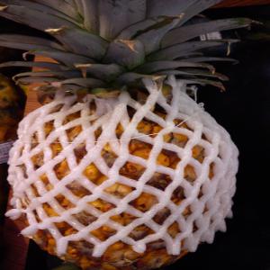 Pineapples - fruits and vegetables dear sir/madam,  (hs 080430)--we would like to offer pineapple (ananas comosus) as fresh fruit. our pineapple has variant- honey,  md2. packed in nett. 7.5kg (6 pcs) carton box or base on buyer's advise. produce of indonesia. terms and conditions apply. pls kindly contact for further details. thank yo