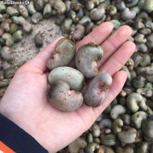 Noix d'acajou disponible (10.000 tonnes) - fruits et légumes disposant de 10.000 tonnes de noix d'acajou,  nous recherchons des acheteurs d'ici et d'ailleurs.--prix de livraison à abidjan (côte d'ivoire)- 399 frs cfa.--condition - traite avalisée à 60 jours--livraison à partir de 20 jours après la confirmation de la tra