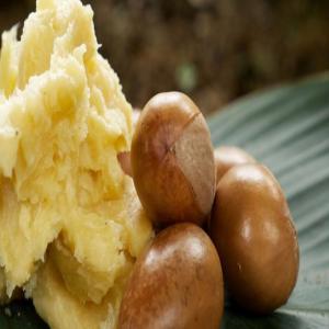 Beurre de Moabi 100% pure - fat beurre de moabi 100% pure disponible au cameroun. nous contacter au besoin.