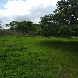 Vente de terrain Sénégal - mine terrain concession recherche clients-acheteurs pour terrain situé au sénégal,  à l'entrée de thiès,  de plusieurs hectares (jusqu'à 30 hectares disponibles). terrain fertile,  idéal pour la culture de denrées alimentaires et totalement clôturé av