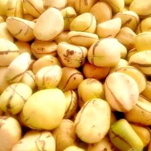 Recherche  de distributeur  - café cacao thé bonjour  messieurs  et dames nous sommes  les colatiers  localiser  en côte d'ivoire  ,  nous recherchons  des partenaires  fiables  pour la distribution  de nos produits  sur le plan international  .--nous avons  à  notre disposition  plus de 1000 tonnes  de cola . --merci de nous conta