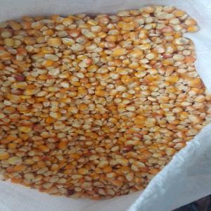 Destockage Maïs grains - aliments pour animaux provenance madagascar --disponible 17 tonnes--sacs 20kg--11€ le sac--pour une tonne 10€ le sac--au delà d' une tonne 9.50€ le sac