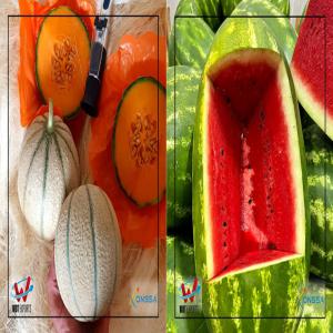 Pastèques et cantaloup disponible au Maroc - fruits et légumes bonjour à toutes et à tous! --je me permets de vous présenter notre entreprise en quelques mots,  en effet,  nous sommes une entreprise d’import-export spécialisés dans l’export de fruits et légumes vers l’afrique de l’ouest,  l’europe et le moyen orient. --tou