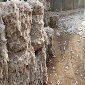 150 tonnes de déchets de coton - matiere vegetale bonjour, nous disposons une grande quantité de 150 tonnes de déchets de coton que nous mettons au marché pour un acheteur qui en à besoin.