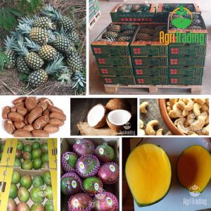 PRODUITS FRAIS DE COTE D'IVOIRE - fruits et légumes société spécialisée dans l'exportation de produits frais origine cote d'ivoire. ananas variété md2 sweet par bateau ou avion quantité selon besoin du client. production toute l'année. mangue variété kent par bateau ou avion. quant