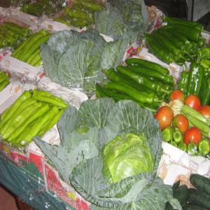 fruits et légumes d'algerie - fruits et légumes export fruits et légume d’algérie piment   piment starters poivron lang poivron jaune carre poivron vert carre poivron rouge carre courgette concombre haricot vert citrouille melon jaune pastèque petit pois transport  centenaire frigo ou par avion  produits disponible toute l'an