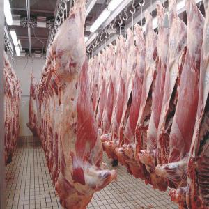 Export-Import de Viande Rouge et Blanche - viandes et oeufs nous sommes une entreprise spécialisée dans l'export-import de viande blanche et rouge de haute qualité. nous avons des relations solides,  ce qui nous permet de fournir des produits de qualité supérieure à des prix compétitifs.----nous exportons et im