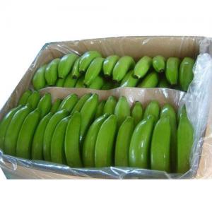 Green bananas  - fruits and vegetables we are looking for an experienced supplier of bananas from west africa.--we are looking for green bananas packed in 18 kg cartons. price cif koper/slovenia. we are looking for 100 tons .--contacte us if are able to supply this quantity .