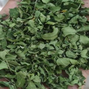 Vente les feuilles de moringa au maroc - matiere vegetale nous sommes des producteurs de moringa bio au maroc exacte a agadir sud du maroc et on cherche des clients pour vente nos produits .