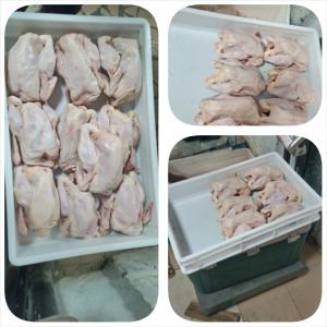 Poulets fermiers en vente en gros - animaux vivants nous disposons de poulets de chair effilé provenant de nos fermes en côte d'ivoire. --possibilité de livrer 500 poulets et plus par semaine.----prix - 2600 francs cfa/poulet ou 2300 francs cfa/kg----conditions - signer un contrat à court ,  moyen ou long terme ; émet