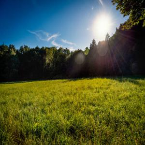 Espace agricole - Industrie exploitation bonjour, --je mets à la disposition des entrepreneurs et des entreprises des terrains agricoles pour des projets de tout envergure et je cherche des partenaires pour la mise en valeur d'une superficie de 70 hectares au cameroun ( à 30 min de route de la capitale).--cordialement