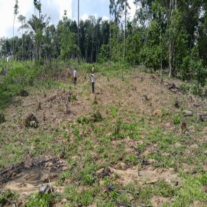 lots en vente sur Attinguie-Akoupe-zeudji-Adattié - mine terrain concession nous vous proposons des lots en vente sur attinguie -akoupe-zeudji -adattie ( ebimpe à coté du stade olympique livrés avec acd sous préfecture d' anyama à des prix très abordables. --description- terrains plats faciles d' accès --documents -attestatio