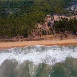 Terrain entre mer et lagune en vente en côte d'Iv - mine terrain concession terrain situé entre mer et lagune en vente en côte d'ivoire à grand-lahou. avec certificat foncier--prix - 6000 francs cfa/m²--propice pour projet hôtelier----nb-plan,   vidéo et images disponible