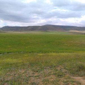 Ferme à vendre au maroc  - mine terrain concession terrain agricole à vendre à prix choc sur la région de meknes, d'une superficie de presque 90 hectares,  composé d'un étable et plusieurs autres choses pour plus de détails veuillez nous contacter, 