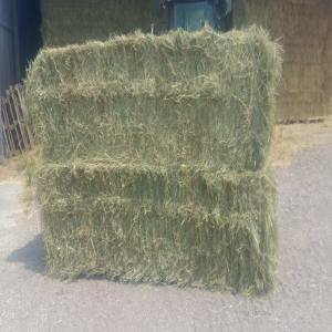 Foin 2023 / hay 2023 extra  - aliments pour animaux vend foin 2023 en big baler 70x120x240 ou 90x120x240 ou round baller diamètre 125 --livraison toute distance / transport possible --qualité extra pour chevaux / animaux allaitants.--plusieurs lots rayon 200kms autour de paris. --