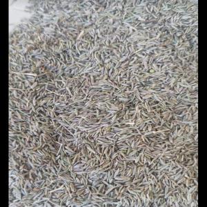 Vente de Cumin - fruits secs et graines grillées vente de cumin syrien disponible--stock 26 tonnes--emballage de 25 kg--stock disponible en turquie--veuillez contacter pour plus au besoin