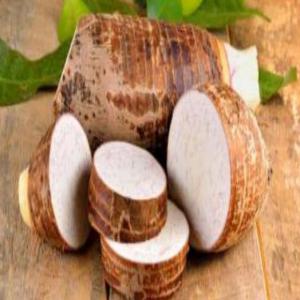 TARO, IGNAME, MANIOC, PLANTAIN, PATATE DOUCE - fruits et légumes vente et achat et dépôt-vente de produits exotiques africains pour magasin exotique - --taro,  igname,  manioc,  banane plantain,  piment,  gombo,  aubergine en gros,  en demi-gros,  et à de bon prix pour revendeurs,  distributeurs,  importateurs.----- légumes et fruits au choix ---