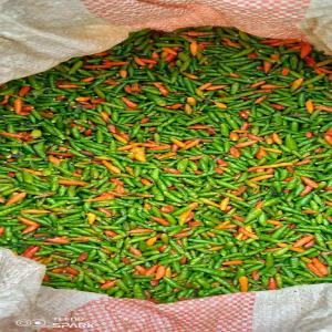 PIMENT PILI PILI  - fruits et légumes nous disposons en quantité et en qualité export des piments pili,  rouge,  vert ,  secs,  frais,  bio de madagascar,  déjà disponible à tananarive 