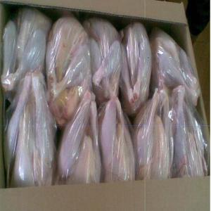 Quality Halal Frozen Chicken - viandes et oeufs we are offering high quality frozen halal whole chicken and various chicken parts to our customers worldwide. --1. halal certified frozen whole chicken (with or without) bones - 10.000 mt / month----2. halal certified breast chicken- 10.000 mt / month----grade  a ----shelf life- --minimum 12 months-