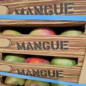 Mangues et ananas, frais et secs origine Afrique - fruits secs et graines grillées bonjour, ----nous sommes une entreprise basée à paris,  spécialisée dans l'importation des fruits exotiques,  en provenance directement des producteurs locaux certifiés d'afrique de l'ouest vers l'europe.----nous sommes experts dans les mangues et l'ananas,  frais et s