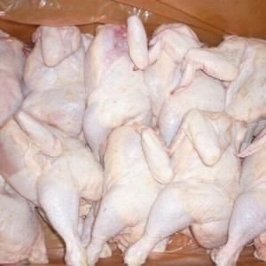 Halal frozen chicken paws and chicken feet - meat and eggs halal chicken frozen paws grade a chicken paws-----frozen chicken paws grade a weight 35‐45grms grade a,  length 8 to 13 cm----requirements---1-packed in bags of 5 kgs (3 bags per carton) cartons of 15 kgs--2-ph range between 5.6 to 6.3--3-no volatile nitrogenous content--4-free of salmonella--