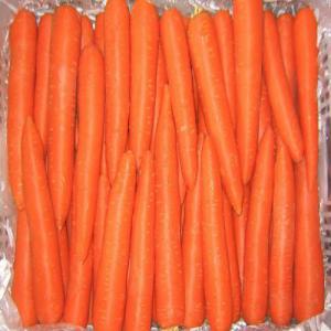 Vente carottes taille 2L 3L 28.5MT  disponible  - fruits et légumes 28.5mt disponible--taille 2l 3l--carottes grade a export quality --origine chine--disponible pour chargement--tarif fob 488 usd mt.--------