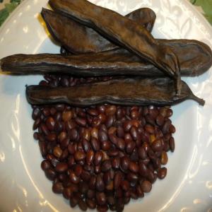 Carob - caroube  - other                              hello --we have quantity  of   carob    we are looking for customers  ,   best quality products  and quantity  ,  contact us  .--                           