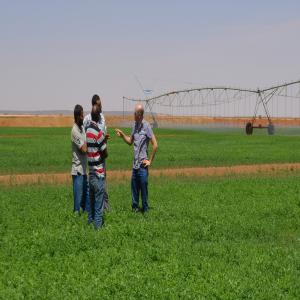 Recherche Partenaire Agricole - Investissement capitaux bonjour--nous cherchons un partenaire agricole sérieux ayant la capacité de financer des projets agricoles.--nous disposons de 300 a 500 hectar dans la région du pool au congo brazzaville 