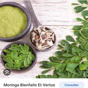 FEUILLE MORINGA / MOULU  ET SES GRAINES - fruits secs et graines grillées je vous livre partout--feuille moringa et feuille moulu--les graines de moringa--pour votre bien etre