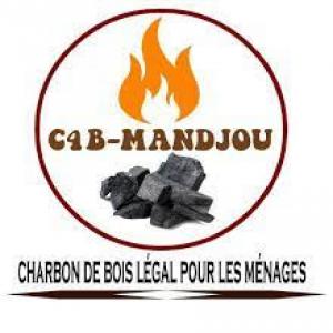 Charbon Legal issu des rebuts de scierie de l'Est - bois charbon fibre la centrale de collecte et de commercialisation du charbon de bois située au cameroun est un groupement d’intéret économique (gie) fonctionnant sur un modèle coopératif. il regroupe les charbonniers de la région de l’est cameroun,  afin de leurs permettre de 