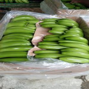 Banane  Cavendish  EQUATEUR - fruits and vegetables thank you for your contact and interest in our fruit. we would be glad to work with you and send you our bananas premium.--we haver four brands---nur--banabequin--casta sons--caty--specifications - 19.5kgs box---variety-  cavendish bananas--class- premium--case style- 22xu--type of packing- vacuum--