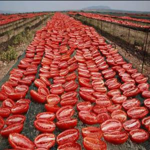 Tomates séchées  - fruits et légumes nous sommes fournisseur de tomates séchées tunisien nous offrons un grand stock pour l'export depuis la tunisie 