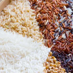 Riz en provenance du Viêt Nam  - céréales nous vous proposons du riz en provenance du viet-nam --riz blanc ,  cassé 5% ,  25 % ,  100%--riz noir ,  violet ,  jasmin,  parfumé….--spécialisé dans la zone océan indien,  nous disposons de la logistique nécessaire afin de livrer partout dans le monde .--n’h&eac