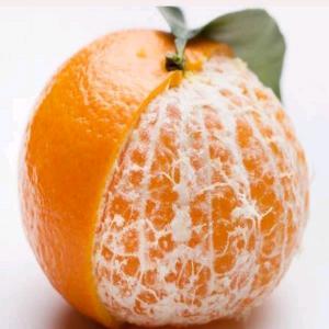 CLEMENTINE NOUVELLE SAISON - fruits et légumes                     nous vous propose notre clementine bruno origine maroc pour nouvelle saison debutee octobre avec conditionnement 1.800kg - 2.300 kg - 10 kg avec possibilité de réalisation de transport et transit jusqu’à votre destination.