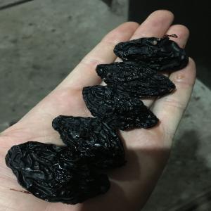 PRUNES SÉCHÉES DE HAUTE QUALITÉ