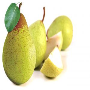 pears. “pera rocha”  - fruits and vegetables producer in portugal of gala apples and “pera rocha” pears. pears  pera rocha' availability per pallet--- ----bulk (10kg package)--- caliber- 50/55--- caliber- 55/60-- --- 1 kg trays caliber- 50/55--- caliber- 55/60-- --- 1 row package (all pears will be sticker) caliber--- 55/60--- package per 60x4