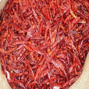 Piment Rouge Africain Séché en Gros - Qualité Sup - épices aromates bien sûr,  je pe--découvrez notre piment rouge africain séché,  un véritable trésor de la nature,  cultivé de manière respectueuse de l'environnement et écologique. notre piment long offre une intensité de saveur incomparable,  id&eacu