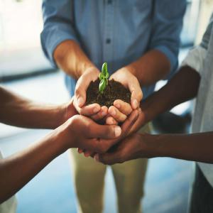 Boostez Votre Entreprise Agroalimentaire  - autres chers acteurs de l'industrie agroalimentaire, ----nous comprenons les défis uniques auxquels vous etes confrontés dans le secteur agroalimentaire. l'évolution constante des tendances du marché,  les réglementations strictes,  et la demande croissante des consommateurs