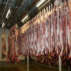 importation viande fraiche Carcasse et sous vide - viandes et oeufs bonjour je cherche pour un client algerien importateur viande fraiche carcasse 6 conteneurs  de 27  tonnes et sous vide 3 conteneurs  de 27 tonnes--je veux une facture proformat en cif port alger ou oran  avec certificat d'origine du pays exportateurs du chambre de commerce du pays d'origine -- sach