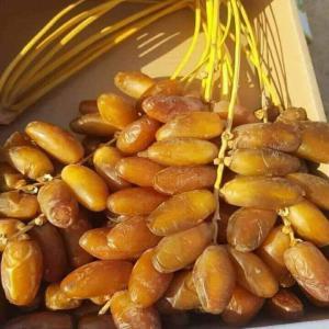  Dattes Deglet  Nour  premium - fruits et légumes nous sommes une société d'export nous mettons en vente.--- dattes deglet nour premium de tolga,  biskra de différente qualités situé en algerie , dattes de haute qualité succulentes branchette et vrac à des prix avantageux--boite 1 kg--boite 2 kg--boite