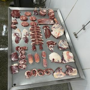 VIANDE DE BŒUF CERTIFIÉE HALAL  - viandes et oeufs ----vous recherchez de la viande de bœuf de qualité,  certifiée halal,  directement du brésil ? ne cherchez plus ! chez nous,  vous trouverez toutes les parties du bœuf,  soigneusement sélectionnées pour satisfaire vos besoins gastronomiques. voici quelques