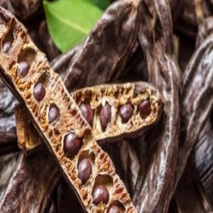 Caroube , carob - fruits secs et graines grillées on cherche des potentiels clients intéressés par notre récolte en gousse de caroube marocain m. nous disposons des quantités importantes et selon la demande. 