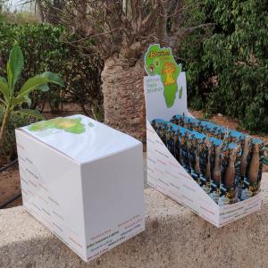 Recherche commercial, agent, et/ou partenaire - horticulture plante biocarburant recherche commercial,  agent,  représentant et/ou partenaire pour distribution de produits horticole uniques au monde pour société basée au sénégal. les produits mini baobab,  baobab chacal,  frangipanier sont emballés en carton avec un joli packaging et 