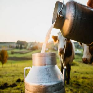 Fournisseur de laits et de produits laitiers  - lait et produits laitiers en tant que fournisseur de laits et de produits laitiers,  nous jouons un rôle central dans la chaîne d'approvisionnement alimentaire en fournissant une variété de produits laitiers de haute qualité à nos clients,  qui peuvent etre des supermarchés,  des r