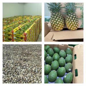 fourniture de fruits exotiques et Noix de Cajou  - fruits et légumes nous sommes spécialisé dans dans l'export des fruits exotiques et légumes depuis l'afrique de l'ouest principalement. nos  fournisseurs peuvent vous approvisionner avec un calendrier d'approvisionnement définit en amont en fonction des saisonnalités. les produits s