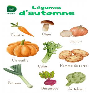 Offre de Légumes Frais et de Semences de Pommes 