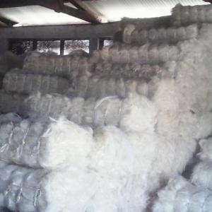 Fibre de sisal ou filasse  - bois charbon fibre nous sommes à la quete de client pour fournir aux pays de la sous région à partir de lomé et autre chaque mois 50 tonnes et d'ici un an max jusqu'à 200 tonnes le mois.--origine du produit kenya 