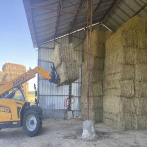 Vente de foin - Pays de la Loire - aliments pour animaux vends foin de graminées et foin de prairie--stocké sous abris après récolte --bottes carrés de 90x120x240--pas de traitements pesticides--conditions tarifaires - suivant quantité