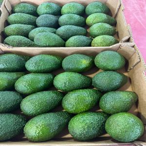 Avocat Hass - fruits et légumes bonjour, --je propose de l'avocat origine maroc,  variété hass en calibre 16,  18 et 20.--emballage en carton de 4 kgs.